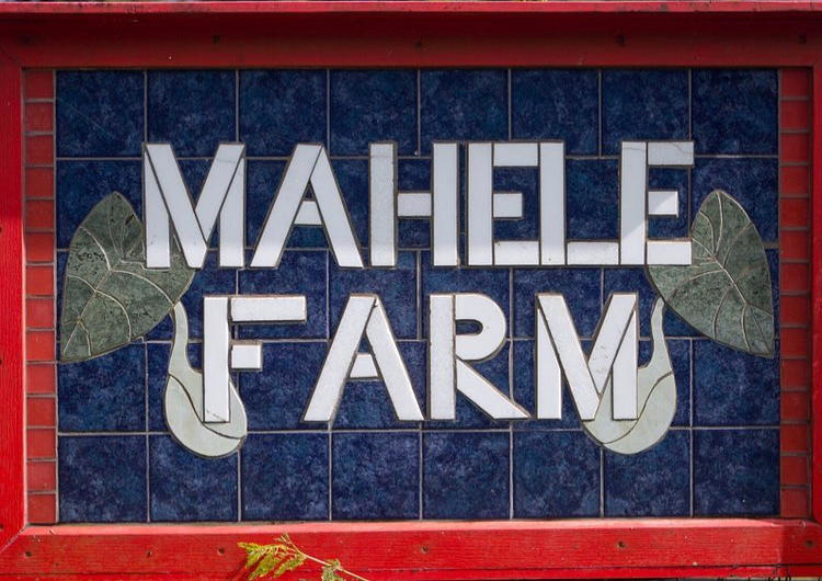 Vendor Spotlight – Mahele Farm