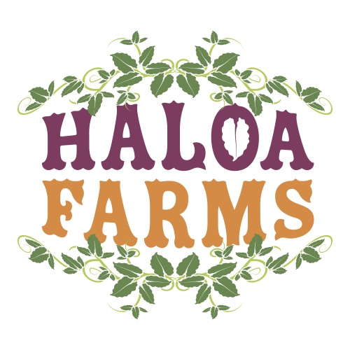 Vendor Spotlight: Haloa Farms