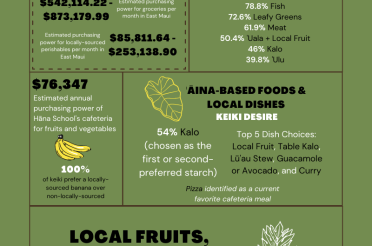 Launched: Ma Ka Hana Ka ʻIke East Maui Community Food Assessment